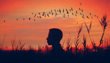 Pastēra institūta pētnieki: putnu gripa var būt bīstamāka par Covid-19