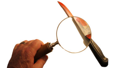 Dubultslepkavība Kauņā: kriminologs vērš uzmanību uz vienu svarīgu detaļu - NRA