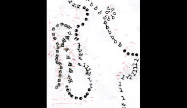 Albuma apskats: Edgars Rubenis – “Shelterbelt”