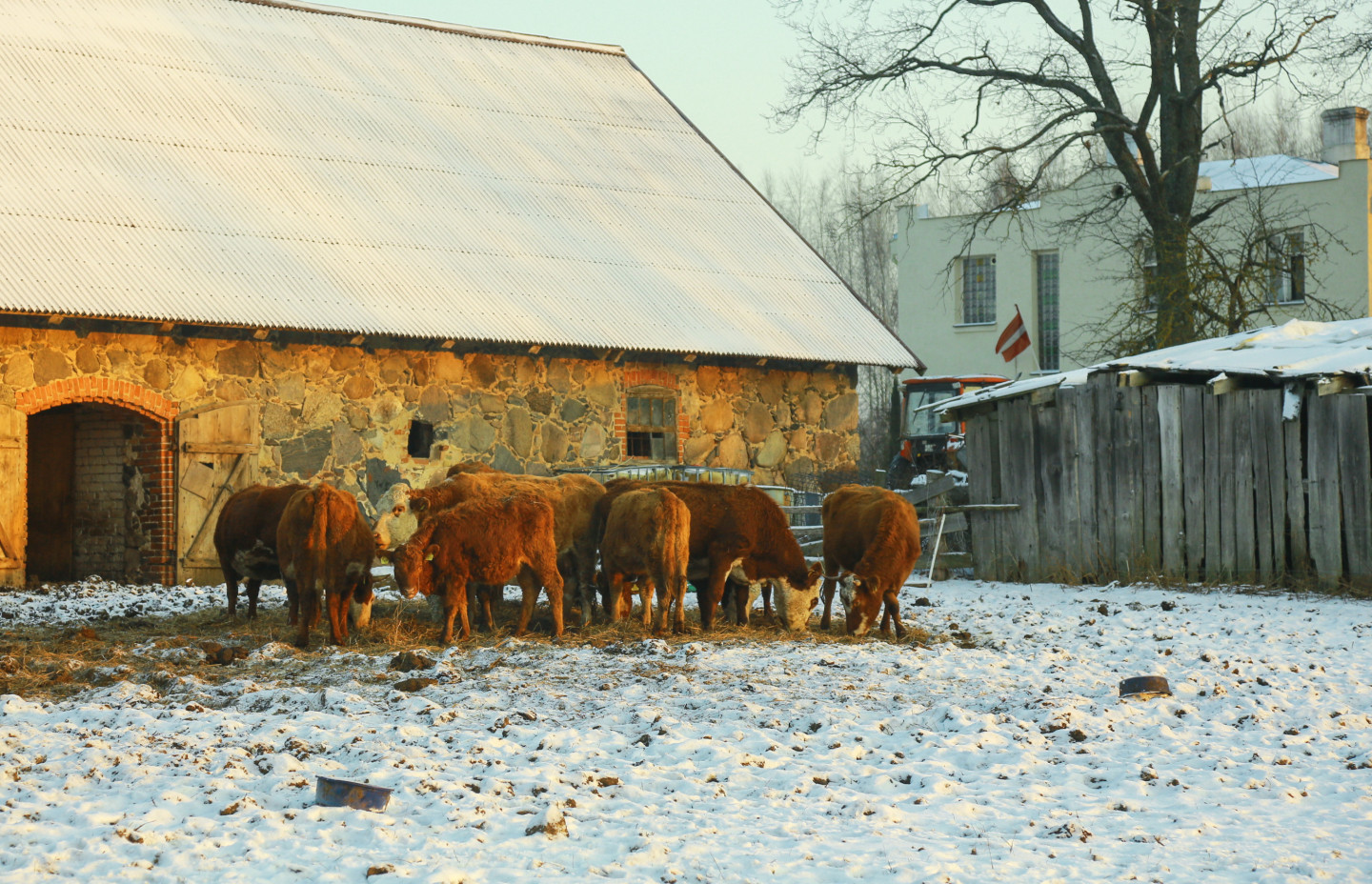 Lauksaimnieki nosūtījuši publisku vēstuli valsts prezidentam