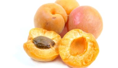 Aprikožu sūtījumā no Afganistānas atrasts cianīds