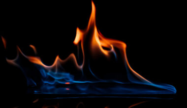 Mākslinieces Diānas Dimzas-Dimmes māju izposta ugunsgrēks