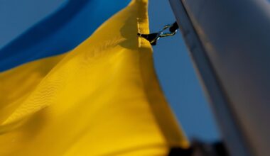 Prognozē, ka Ukrainas vēstnieks Zalužnijs pametīs darbu