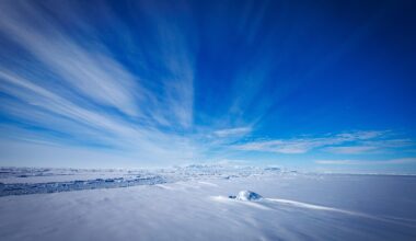 Mūžībā devies profesors Valdis Tēraudkalns