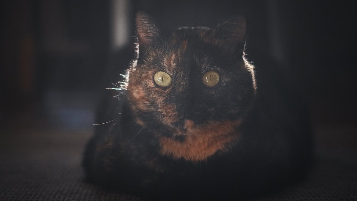 Otrdien kļūs vēsāks - Delfi