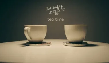 Albuma Apskats: Elektroniskās Mūzikas Projekta "Butterfly d’Effect" Debija "Expectations"