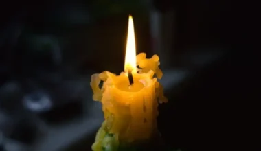 Atvadāmies no komiķa Patrika Fina – atpazīstams ar lomām seriālos "The Middle", "Friends" un "Seinfeld"