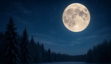 šajā dienā baltu tautas vēroja "zīmes" dabā