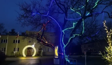 Dobeles Dārzkopības institūts pirmo reizi atklāj “Ziemas dārzu” – gaismas un mākslas svētki apmeklētājiem