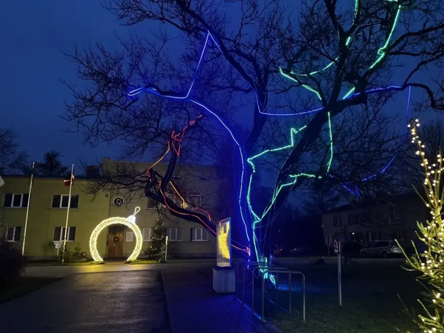 Dobeles Dārzkopības institūts pirmo reizi atklāj “Ziemas dārzu” – gaismas un mākslas svētki apmeklētājiem