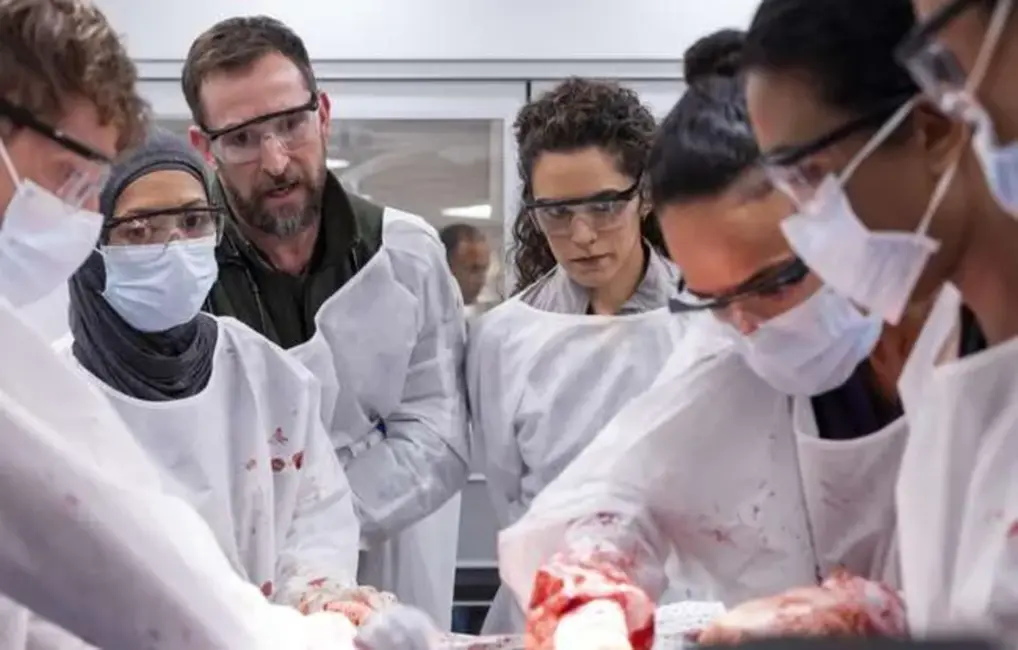 HBO Max atklāj "The Pitt" 2. sezonas oficiālo treileri: Drāma atgriežas 9. janvārī