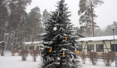 “Lediņi” gaida uz Ziemassvētku pastaigu Rūķu ciemā