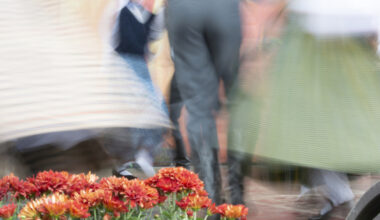 Valdība pilnvaro KM un VARAM, EM veikt pārrunas ar Rēzeknes domi par Latgales vēstniecības “GORS” darbību un pārvaldību