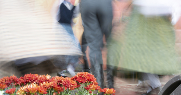 Valdība pilnvaro KM un VARAM, EM veikt pārrunas ar Rēzeknes domi par Latgales vēstniecības “GORS” darbību un pārvaldību