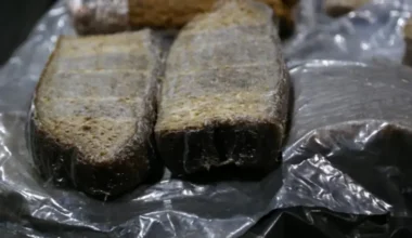 Latvija kļuvusi par galveno ES dabīgā kaučuka ceļu uz Krieviju militārajai rūpniecībai