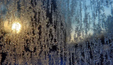 Latvijā tuvojas mēneša saulainākā un iespējami aukstākā diena: Ko sola sinoptiķi?