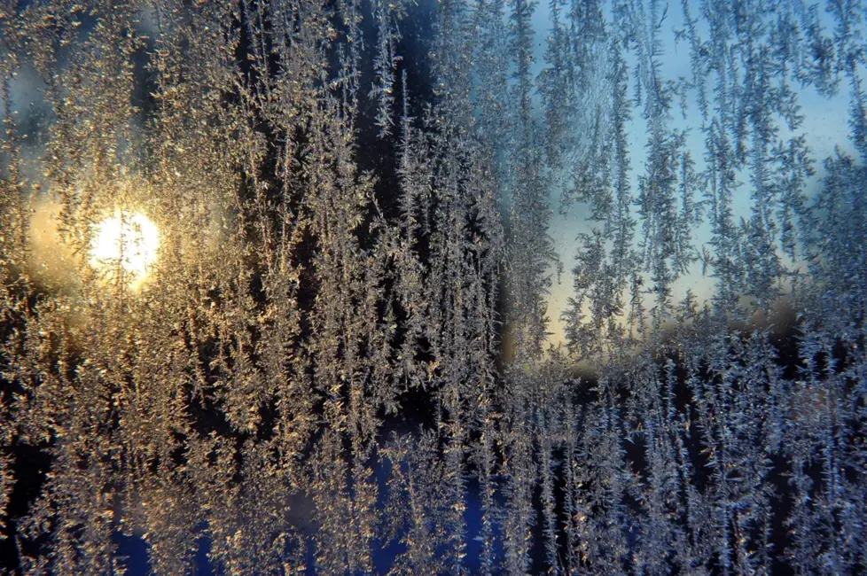 Latvijā tuvojas mēneša saulainākā un iespējami aukstākā diena: Ko sola sinoptiķi?