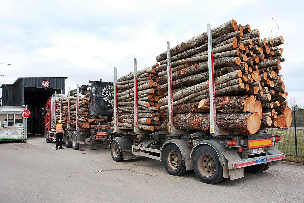 Kokrūpniecības nozare sūta premjerei un ministram vēstuli, skaidrojot, kas notiek patiesībā
