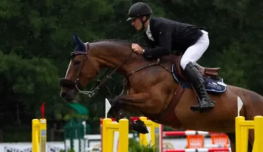 Nacionālajam sporta centram piešķir 640 000 eiro "Kleistu" uzturēšanai