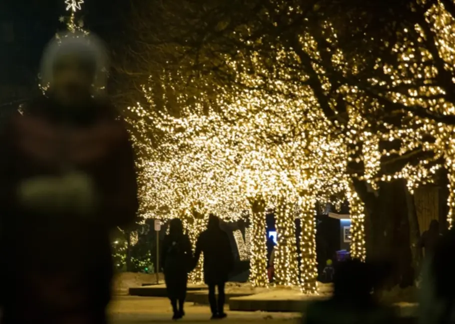 Nedēļas nogale un Gada Mija Latvijā: Ciklons Nesīs Vēju un Nokrišņus, Kam Sekos Aukstums