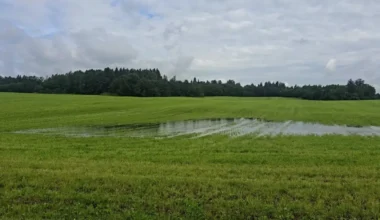Nokrišņu Ekstrēmumi un Temperatūras Kāpums: Dārzkopības Institūta Vērojumi Par Klimata Izmaiņām Latvijā