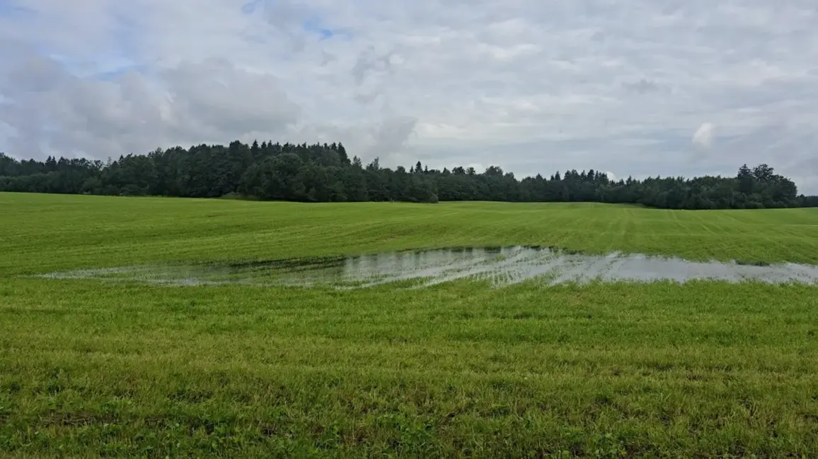 Nokrišņu Ekstrēmumi un Temperatūras Kāpums: Dārzkopības Institūta Vērojumi Par Klimata Izmaiņām Latvijā