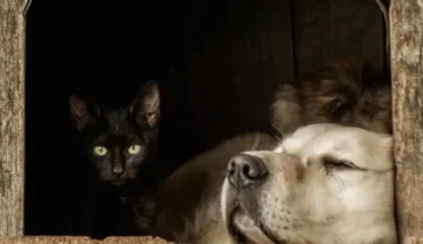 SEB bankas vadītāja: Kāpēc latviešiem nevajag baidīties no naudas un kā plānot 2026. gadu