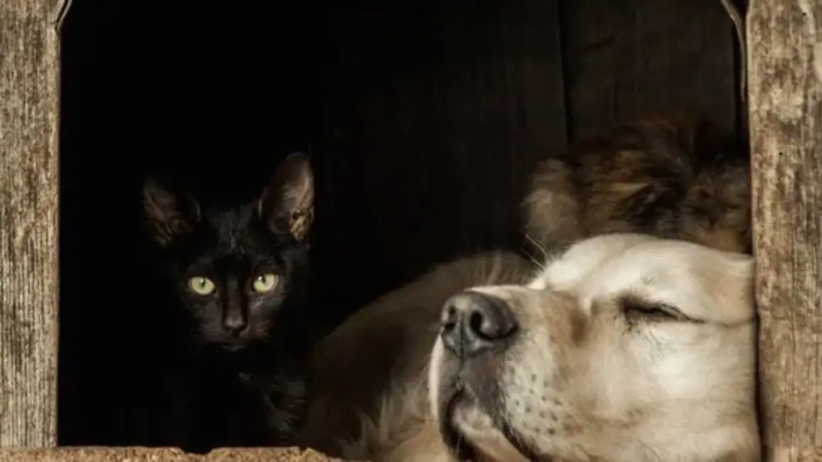 SEB bankas vadītāja: Kāpēc latviešiem nevajag baidīties no naudas un kā plānot 2026. gadu