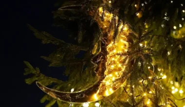 Ziemassvētku vakarā Latvijā pieaugs mākoņu daudzums, bet nokrišņi nav gaidāmi