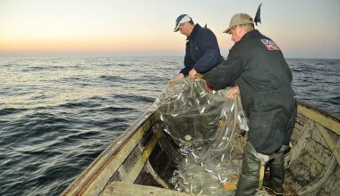 VIDEO. “Neticēsiet, kas ir tā aizsargājamā štelle. Jūras mēsli!” Atklājas noklusētais, kā birokrātija “nogalinās” zvejniekus