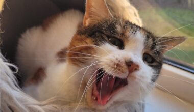 Naktī dažviet temperatūra nokritīs līdz -10 grādiem - Delfi