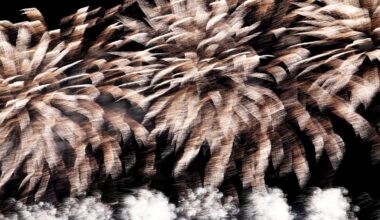 Rīgā aizliedz naktīs lietot pirotehniku