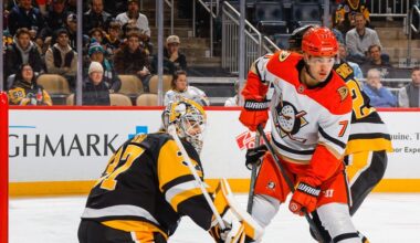 Apskatnieks: Pret “Ducks” Šilovs parādīja sevi daudz labāk nekā pirms tam