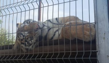 Par cietsirdīgu izturēšanos pret dzīvniekiem sodīts Klaipēdas zooloģiskais dārzs