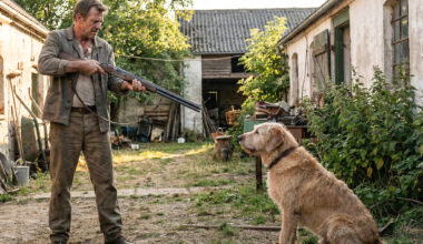 Par trīs suņu nošaušanu Bauskas novadā Valsts policija rosina apsūdzēt četras personas
