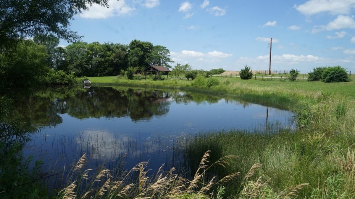 Apsūdz māti, kuras nolaidības dēļ Ropažu novadā dīķī noslīka sešus gadus veca meita