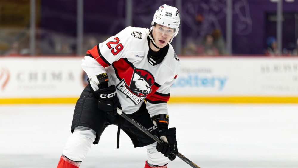 Vilmanim gols no nulles leņķa, Ansons pelna noraidījumus – Hokejs – Sportacentrs.com