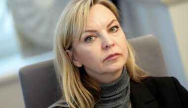 "Process nonācis strupceļā" – Mediju ētikas padome izstājas no SEPLP kandidāta meklēšanas