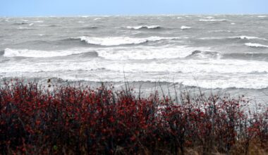 VARAM aptur un sola pārstrādāt jauno jūras liegumu plānu / Raksts
