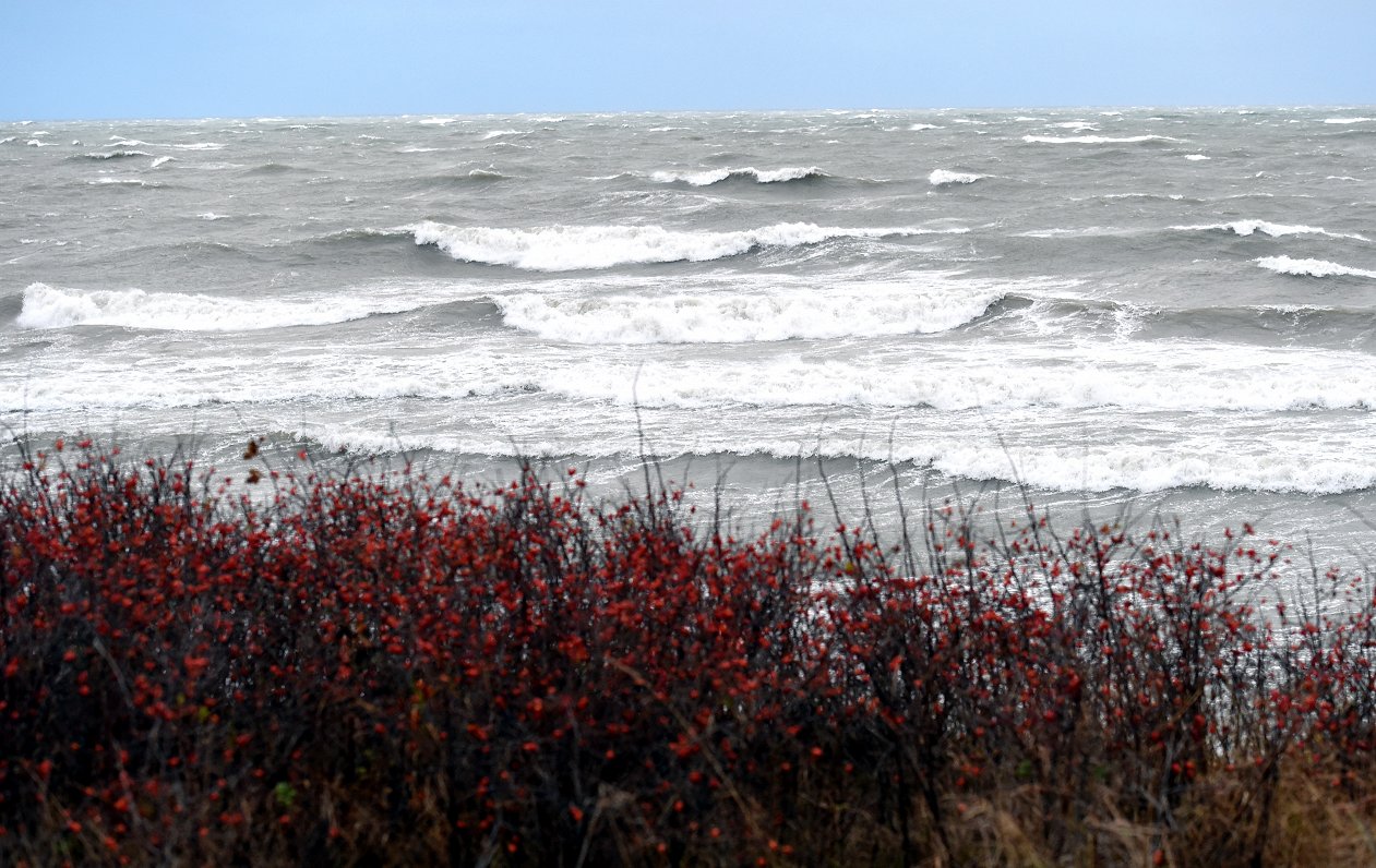 VARAM aptur un sola pārstrādāt jauno jūras liegumu plānu / Raksts