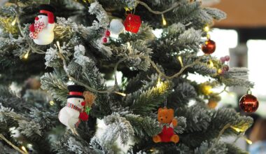 Ziemas saulgriežu, Ziemassvētku un Jaungada pasākumi Valmieras novadā