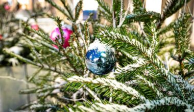 Šodien vēl var pagūt pieteikties dalībai pašvaldības Ziemassvētku noformējuma konkursā