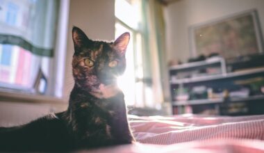 Trešdiena būs mākoņaina, vietām snigs - Delfi