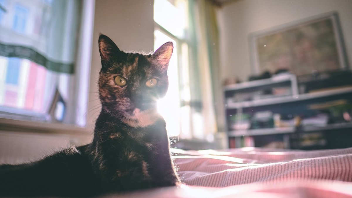 Trešdiena būs mākoņaina, vietām snigs - Delfi