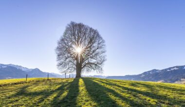 Kristaps Pētersons: Tikai izglītība – nekas cits