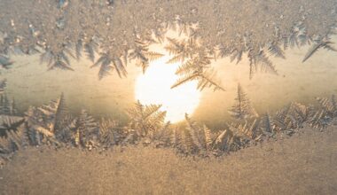 Ziemassvētkos sniega nebūs; gadumijā gan varētu uzsnigt / Raksts