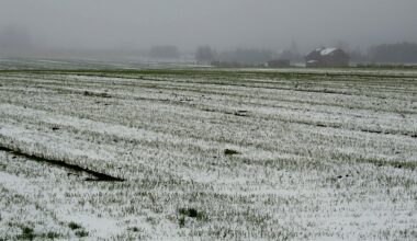 Ziemassvētku brīvdienas varētu sākties ar kailsalu