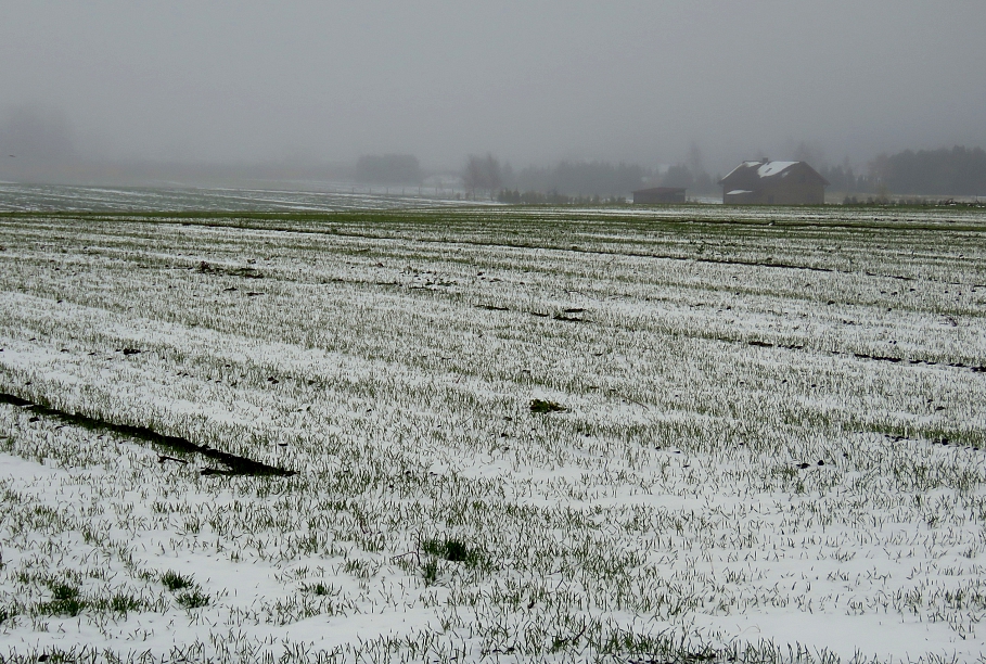 Ziemassvētku brīvdienas varētu sākties ar kailsalu