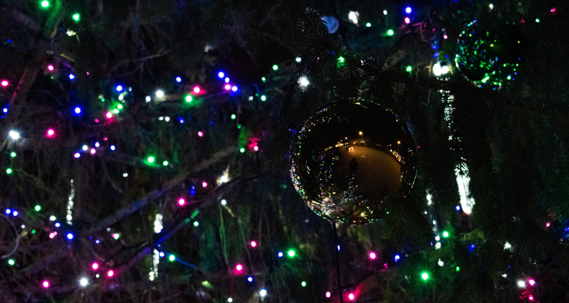 Šonedēļ Jēkabpils novadā iemirdzas svētku egles / Jēkabpils Laiks: Jēkabpils ziņas