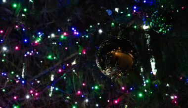 Šonedēļ Jēkabpils novadā iemirdzas svētku egles / Jēkabpils Laiks: Jēkabpils ziņas